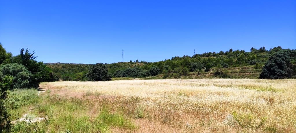 11 soverom Finca/Herregård til salgs i Bocairent med garasje - € 1 500 000 (Ref: 6941273)