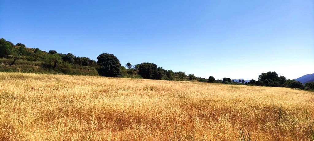 11 soverom Finca/Herregård til salgs i Bocairent med garasje - € 1 500 000 (Ref: 6941273)