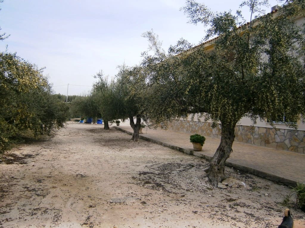 4 soveværelse Finca/Landehus til salg i Cocentaina med swimmingpool - € 420.000 (Ref: 6943629)