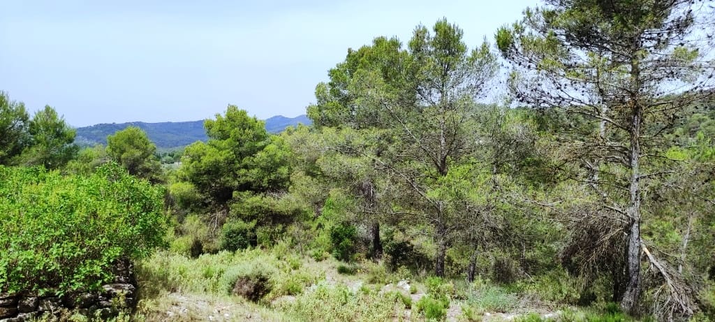12 soveværelse Finca/Landehus til salg i Alcoy / Alcoi med garage - € 550.000 (Ref: 6966475)