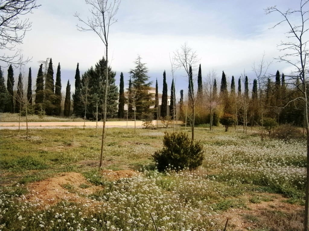 1 bedroom Finca/Country House for sale in Alcocer de Planes with garage - € 149,900 (Ref: 7214753)