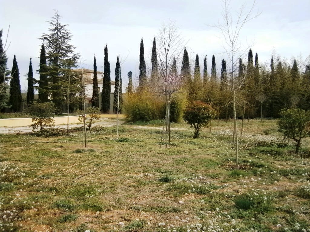 1 bedroom Finca/Country House for sale in Alcocer de Planes with garage - € 149,900 (Ref: 7214753)