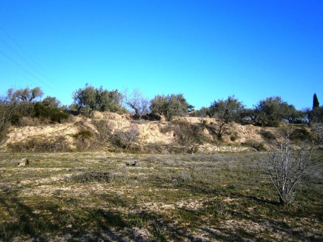 Undeveloped Land for sale in Agullent - € 50,000 (Ref: 7445497)