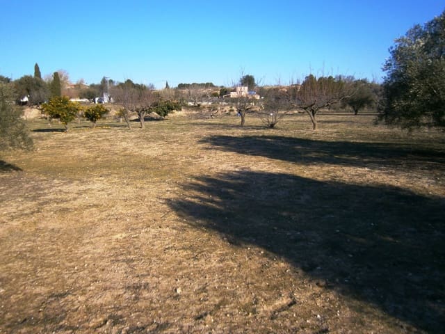 Undeveloped Land for sale in Agullent - € 50,000 (Ref: 7445497)