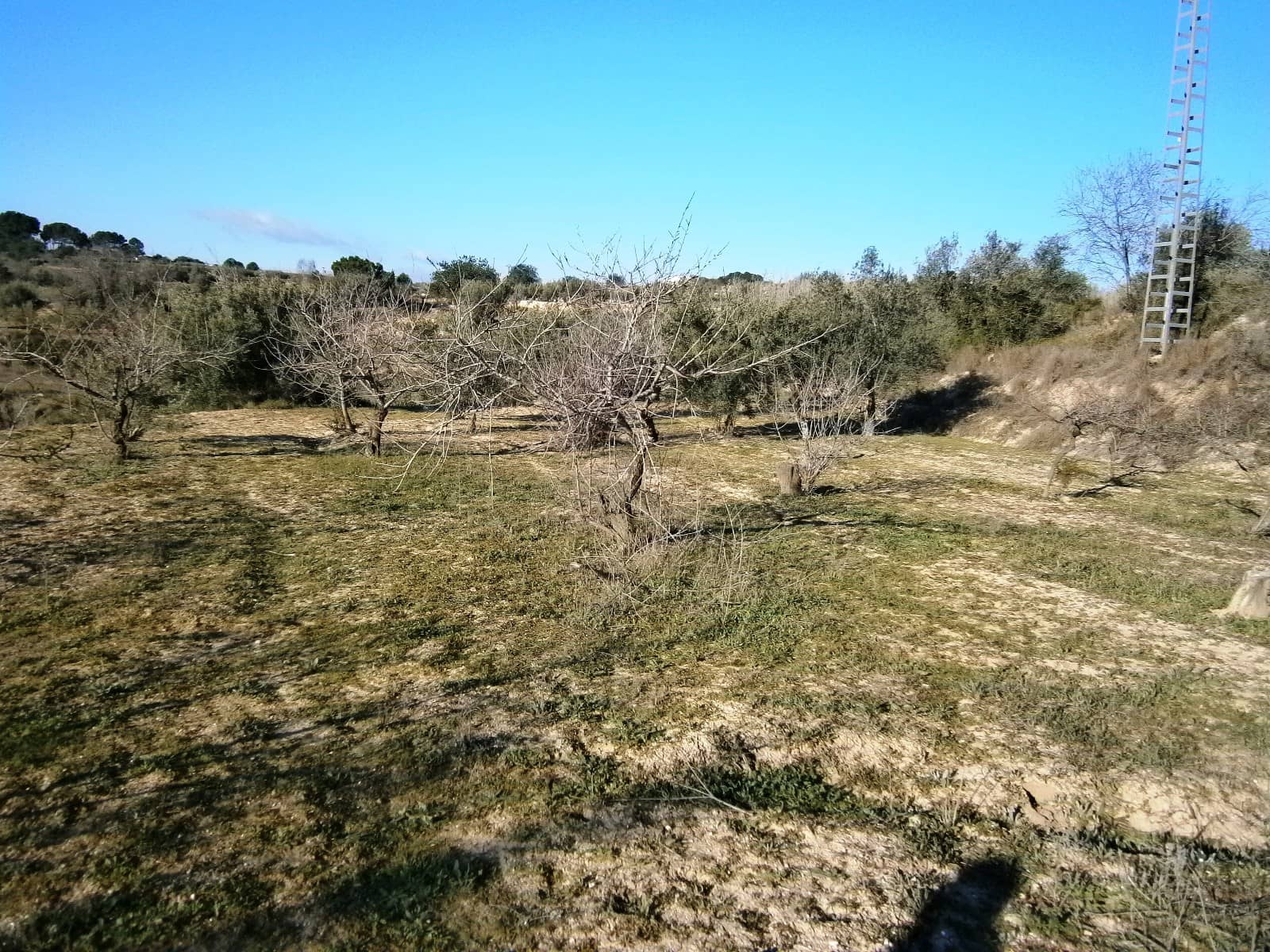 Grunde uden byggetilladelser til salg i Agullent - € 50.000 (Ref: 7445497)