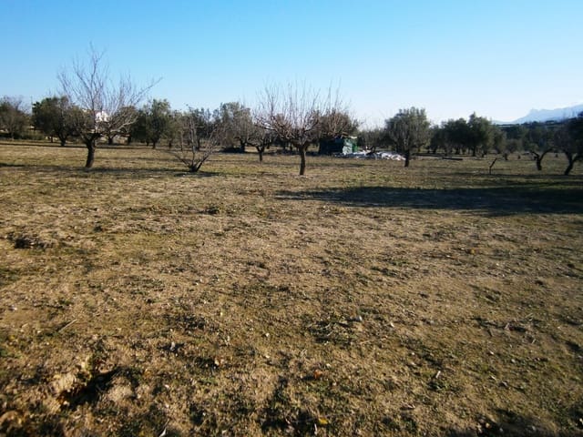 Undeveloped Land for sale in Agullent - € 50,000 (Ref: 7445497)