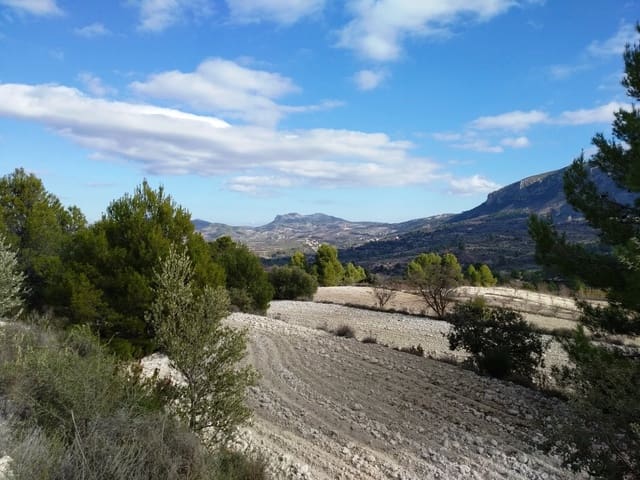 Grond te koop in Benillup - € 59.000 (Ref: 7445498)