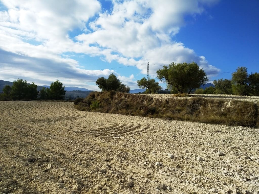 Grunde uden byggetilladelser til salg i Benillup - € 59.000 (Ref: 7445498)