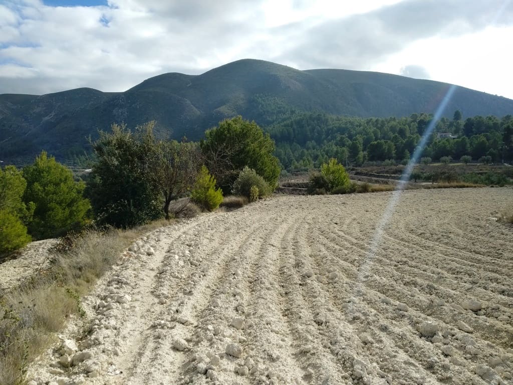 Grunde uden byggetilladelser til salg i Benillup - € 59.000 (Ref: 7445498)