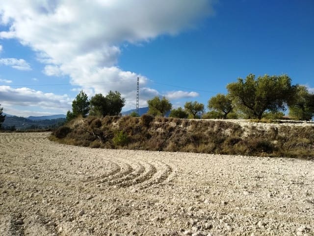 Grond te koop in Benillup - € 59.000 (Ref: 7445498)