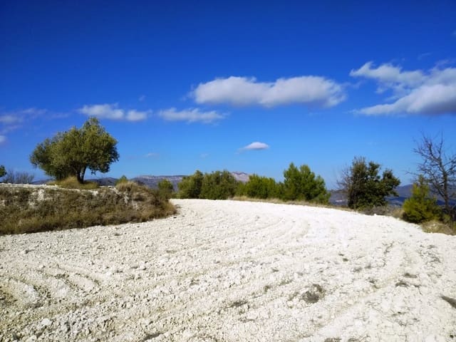 Grond te koop in Benillup - € 59.000 (Ref: 7445498)