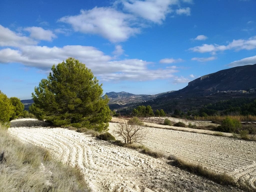 Grunde uden byggetilladelser til salg i Benillup - € 59.000 (Ref: 7445498)