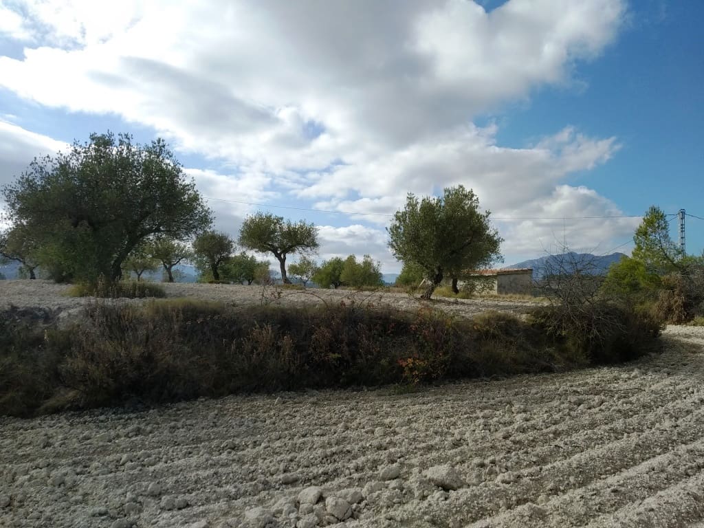 Grunde uden byggetilladelser til salg i Benillup - € 59.000 (Ref: 7445498)