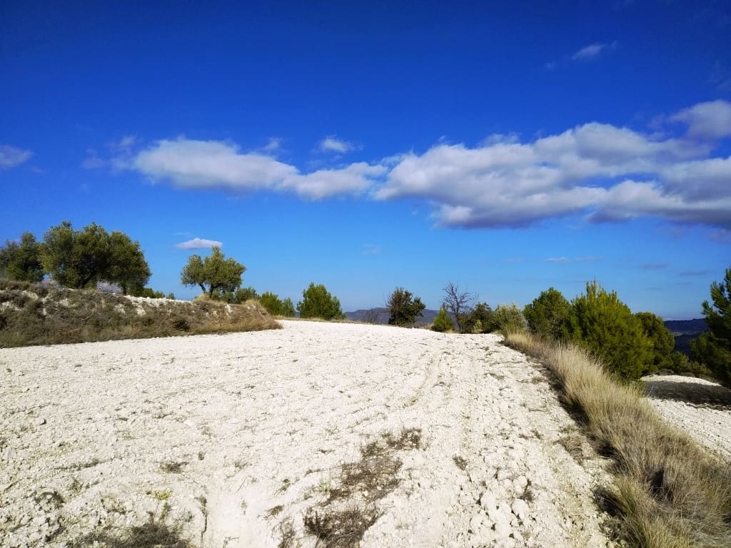 Grunde uden byggetilladelser til salg i Benillup - € 59.000 (Ref: 7445498)