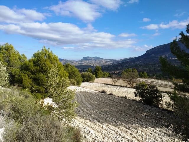 Grond te koop in Benillup - € 59.000 (Ref: 7445498)