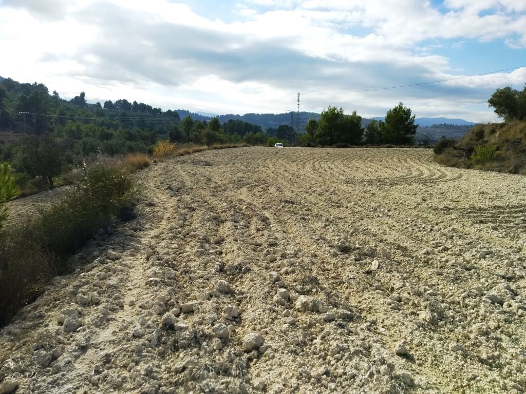 Grunde uden byggetilladelser til salg i Benillup - € 59.000 (Ref: 7445498)