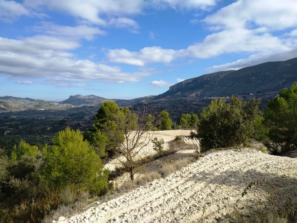 Grunde uden byggetilladelser til salg i Benillup - € 59.000 (Ref: 7445498)