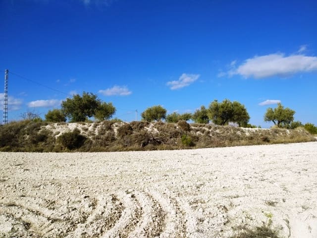 Grond te koop in Benillup - € 59.000 (Ref: 7445498)