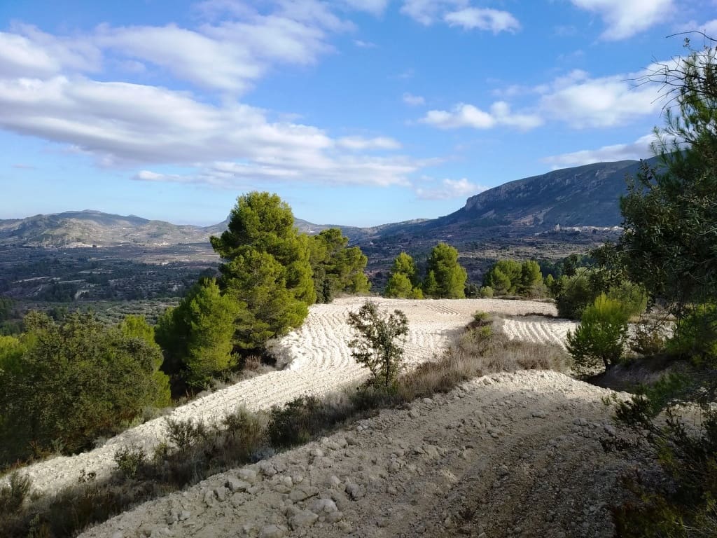 Grunde uden byggetilladelser til salg i Benillup - € 59.000 (Ref: 7445498)