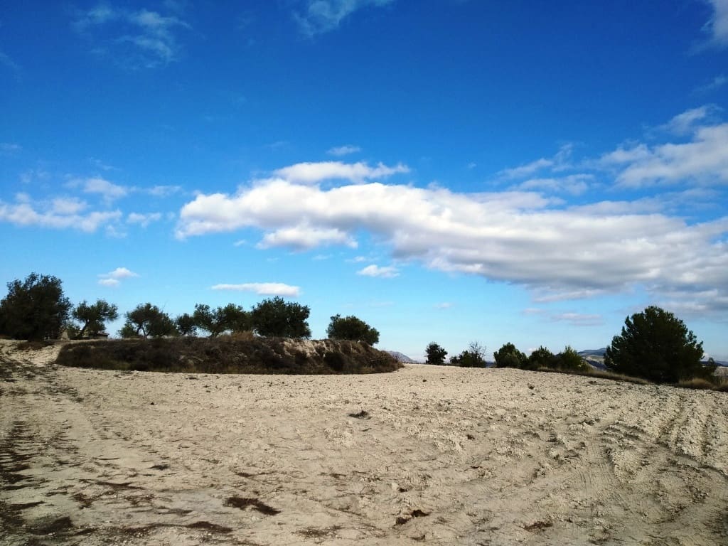 Grunde uden byggetilladelser til salg i Benillup - € 59.000 (Ref: 7445498)