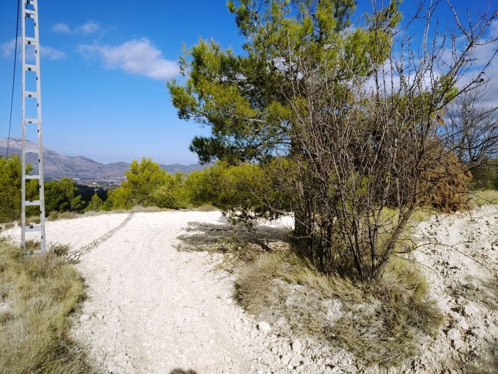 Grunde uden byggetilladelser til salg i Benillup - € 59.000 (Ref: 7445498)