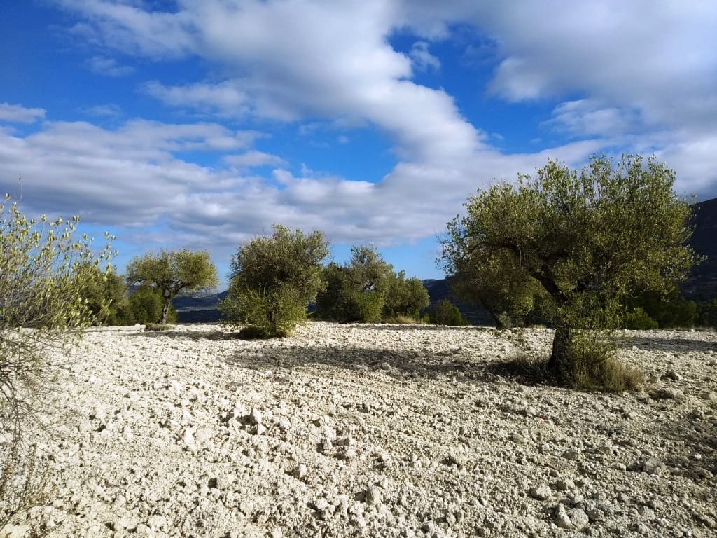 Grunde uden byggetilladelser til salg i Benillup - € 59.000 (Ref: 7445498)