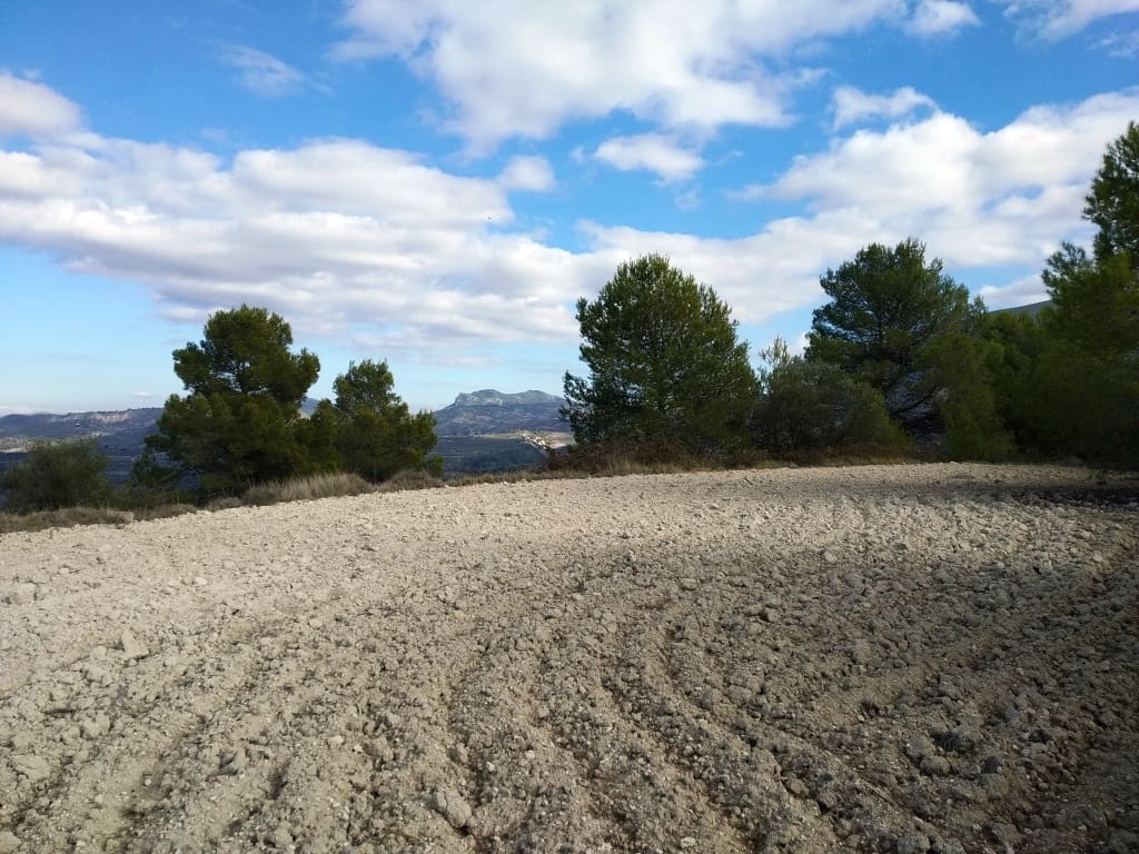 Grunde uden byggetilladelser til salg i Benillup - € 59.000 (Ref: 7445498)