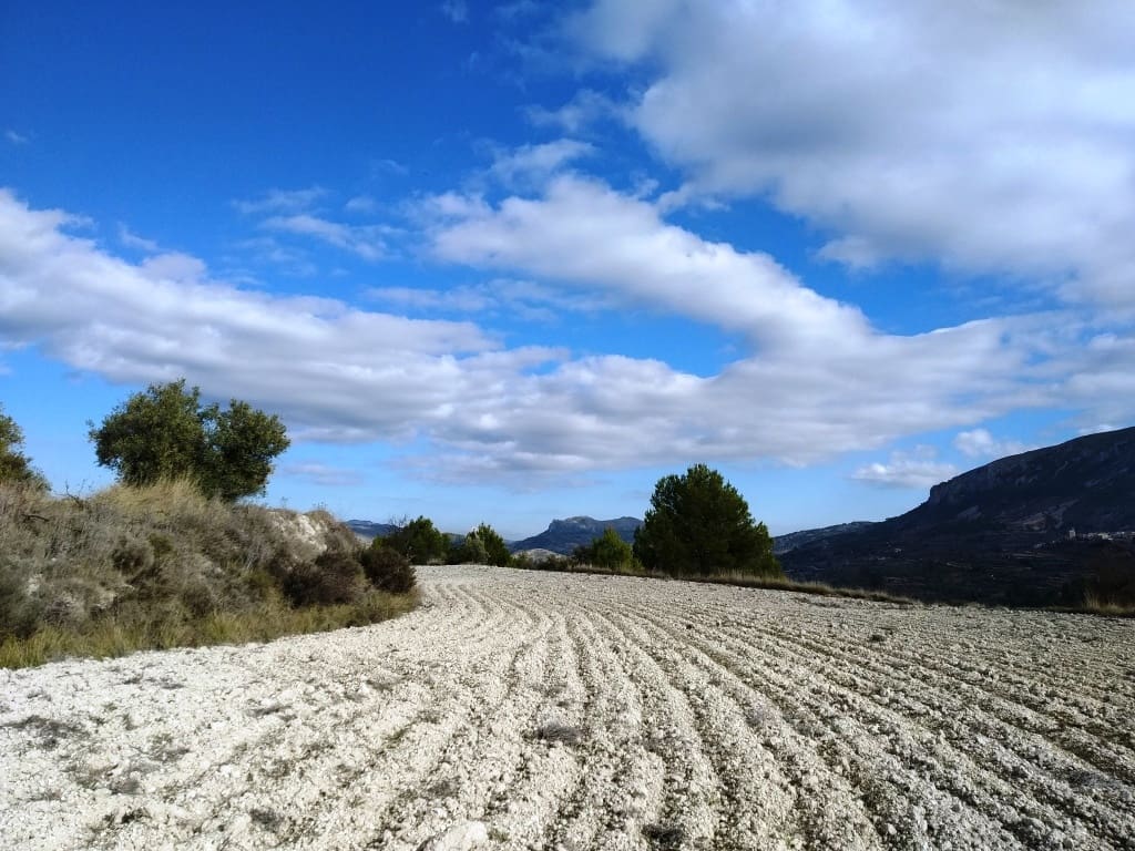 Grunde uden byggetilladelser til salg i Benillup - € 59.000 (Ref: 7445498)