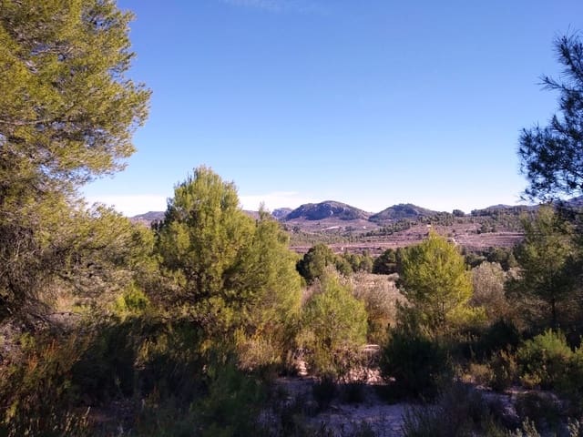 Undeveloped Land for sale in Benimarfull - € 45,000 (Ref: 7445499)
