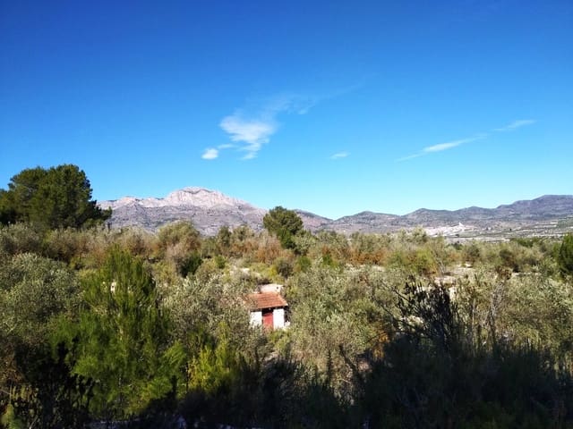 Undeveloped Land for sale in Benimarfull - € 45,000 (Ref: 7445499)