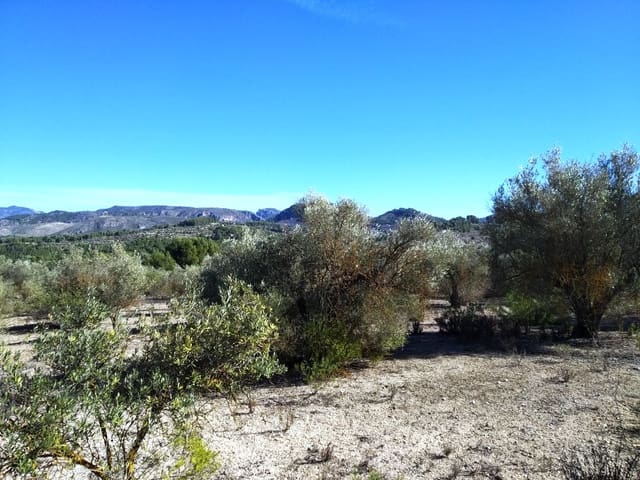 Undeveloped Land for sale in Benimarfull - € 45,000 (Ref: 7445499)