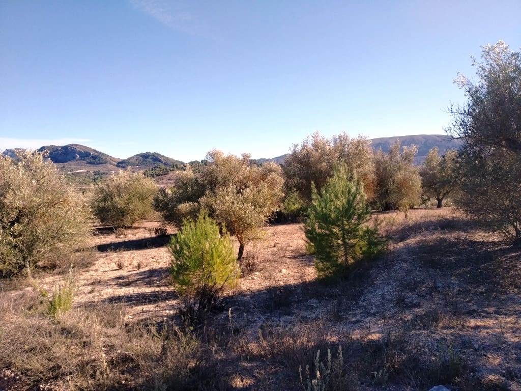 Grunde uden byggetilladelser til salg i Benimarfull - € 45.000 (Ref: 7445499)