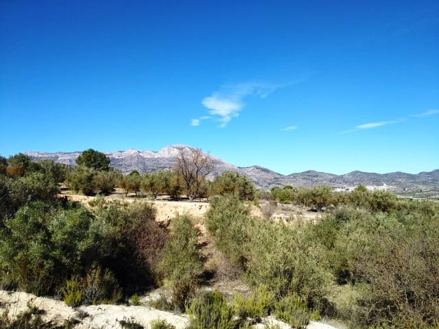 Undeveloped Land for sale in Benimarfull - € 45,000 (Ref: 7445499)