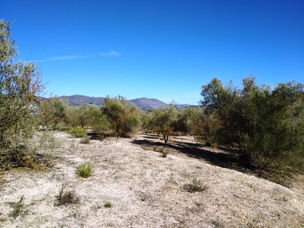 Grunde uden byggetilladelser til salg i Benimarfull - € 45.000 (Ref: 7445499)