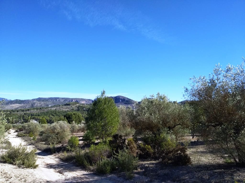 Grunde uden byggetilladelser til salg i Benimarfull - € 45.000 (Ref: 7445499)