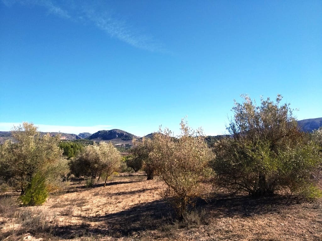 Grunde uden byggetilladelser til salg i Benimarfull - € 45.000 (Ref: 7445499)