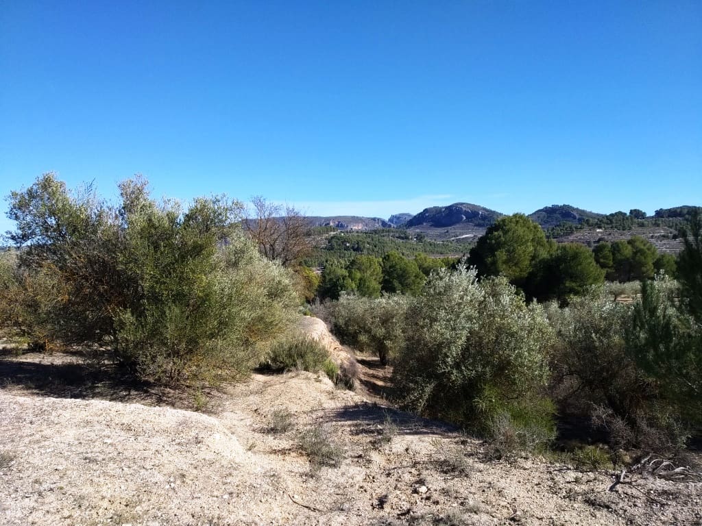 Grunde uden byggetilladelser til salg i Benimarfull - € 45.000 (Ref: 7445499)