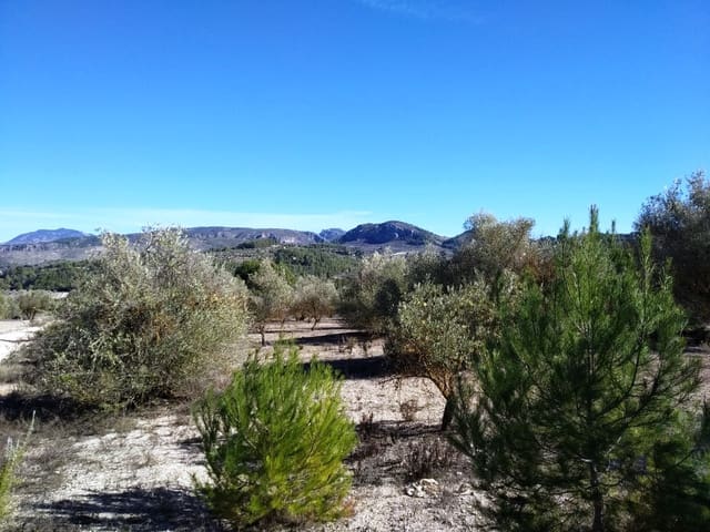 Undeveloped Land for sale in Benimarfull - € 45,000 (Ref: 7445499)