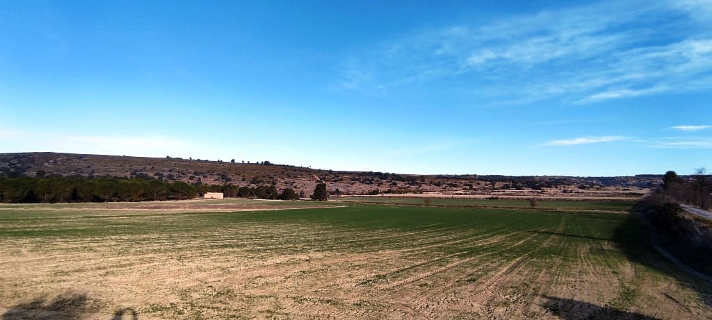 Finca/Landehus til salg i Alfafara - € 65.000 (Ref: 7454373)