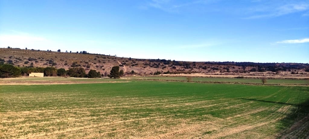 Finca/Landehus til salg i Alfafara - € 65.000 (Ref: 7454373)