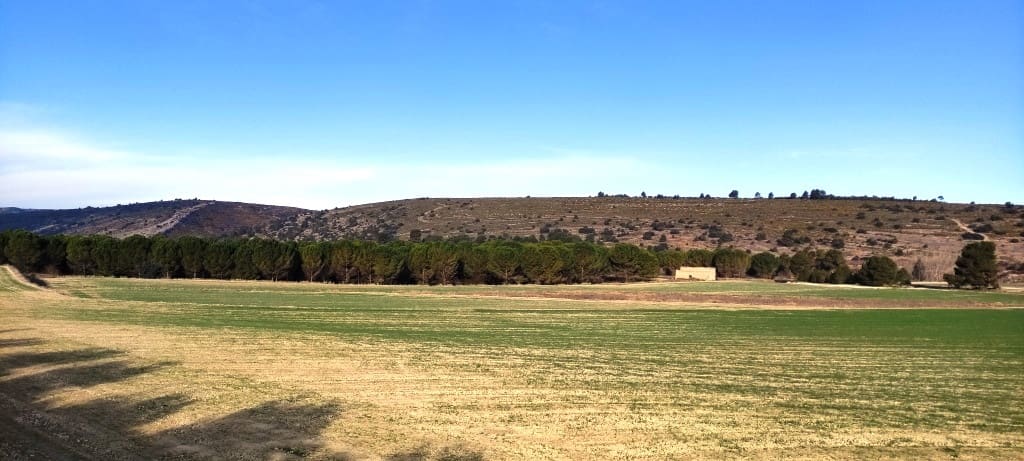 Finca/Landehus til salg i Alfafara - € 65.000 (Ref: 7454373)