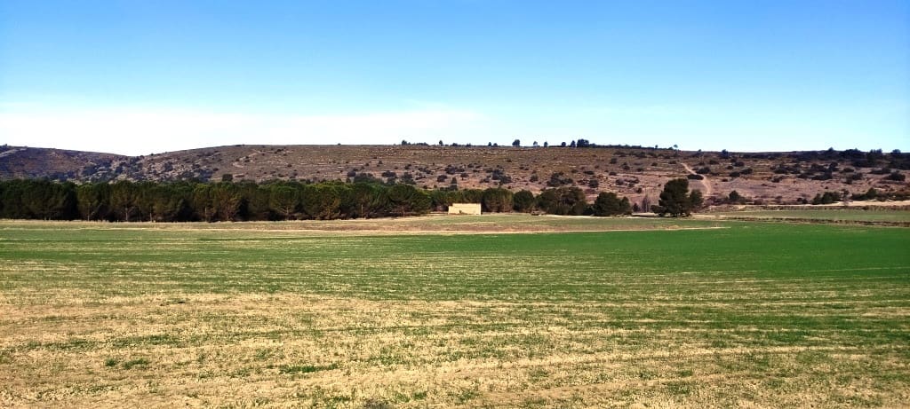 Finca/Landehus til salg i Alfafara - € 65.000 (Ref: 7454373)