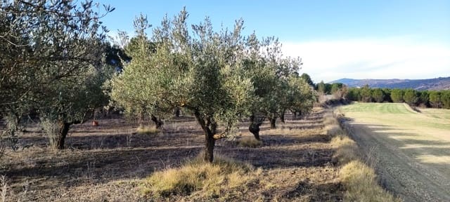 Finca/Landehus til salg i Alfafara - € 65.000 (Ref: 7454373)