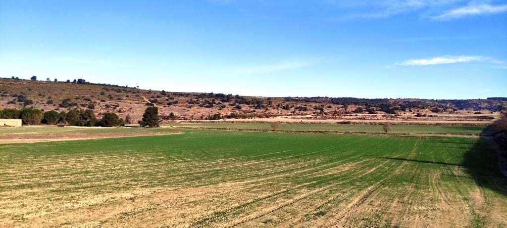 Finca/Landehus til salg i Alfafara - € 65.000 (Ref: 7454373)