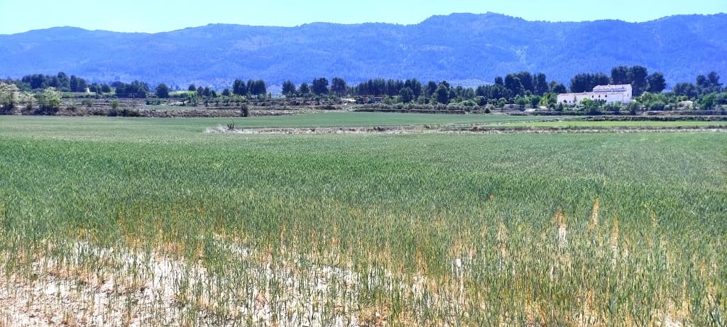 Finca/Landehus til salg i Alfafara - € 65.000 (Ref: 7454373)