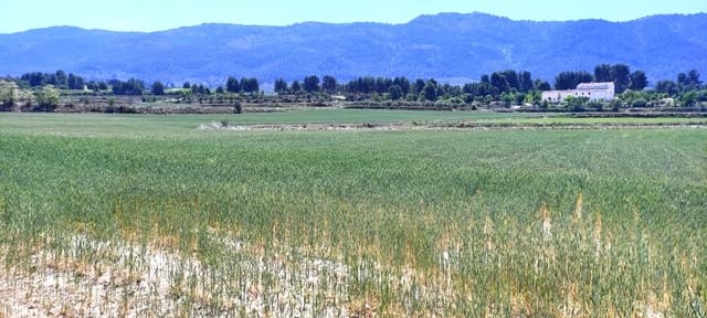 Finca/Landehus til salg i Alfafara - € 65.000 (Ref: 7454373)