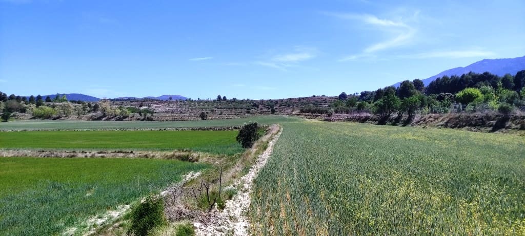 Finca/Landehus til salg i Alfafara - € 65.000 (Ref: 7454373)