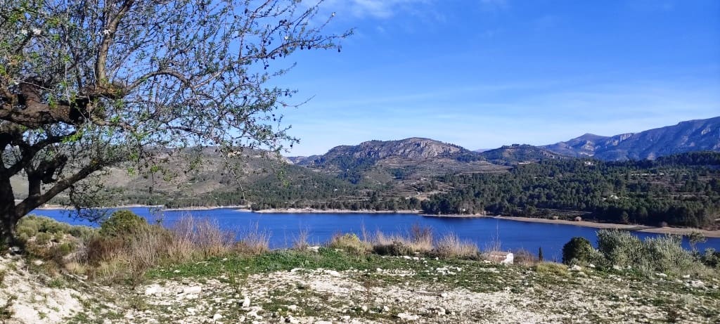 Bauplatz zu verkaufen in Planes - 75.000 € (Ref: 7498885)