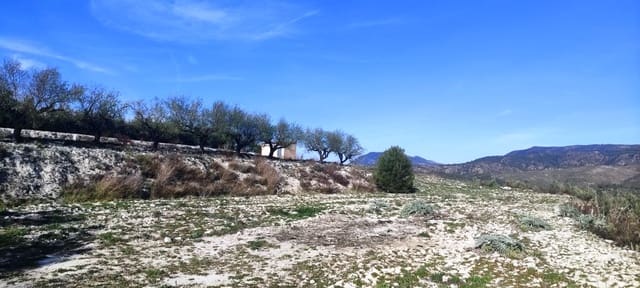 Bauplatz zu verkaufen in Planes - 75.000 € (Ref: 7498885)