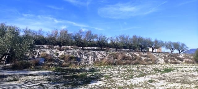 Bauplatz zu verkaufen in Planes - 75.000 € (Ref: 7498885)